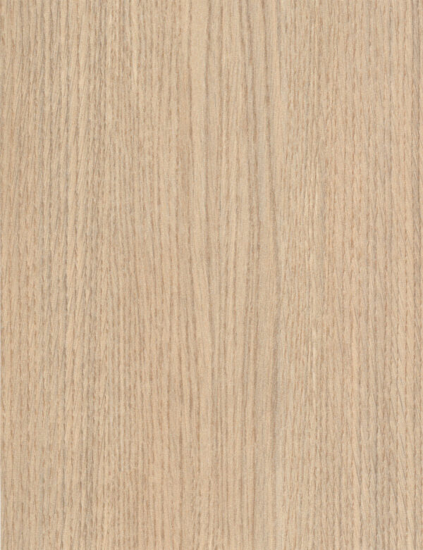 1498 Neutral Oak