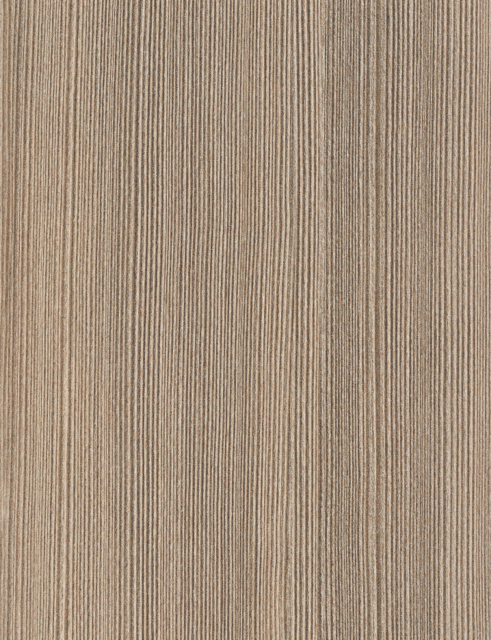 1871 Tsuga