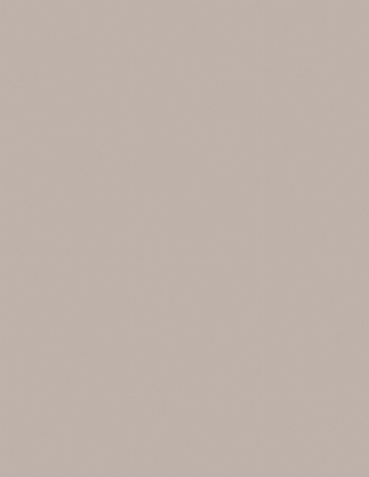 2233 French Grey
