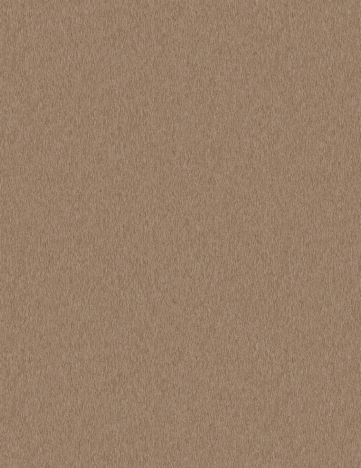 2506 Brushed Champagne