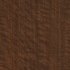 3485 Black Walnut