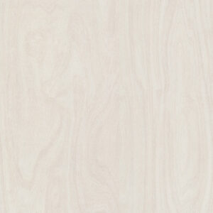 6372 White Washed Birchply