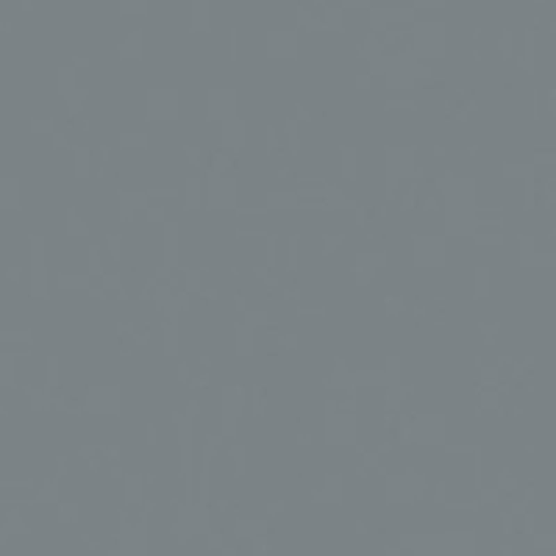 266 Ash grey 30 suede